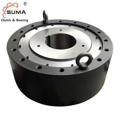 BS160 BS200 BS220 Chế độ giữ lại Backstop Clutch One Way Cam Clutch Bearings