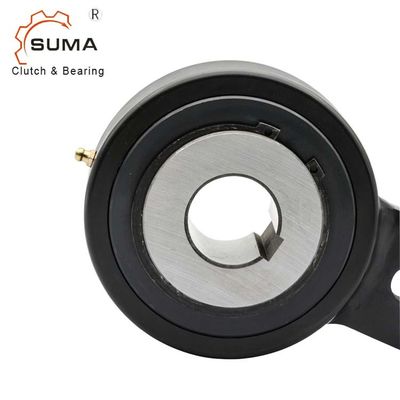 RSBW40 Bucket Elevetor Backstop Bearing