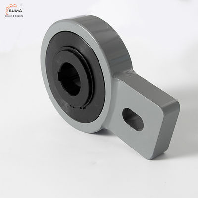 RSBW40 Bucket Elevetor Backstop Bearing